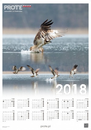 kalendarz plakatowy PROTE 2018_DRUK_Strona_1.jpg